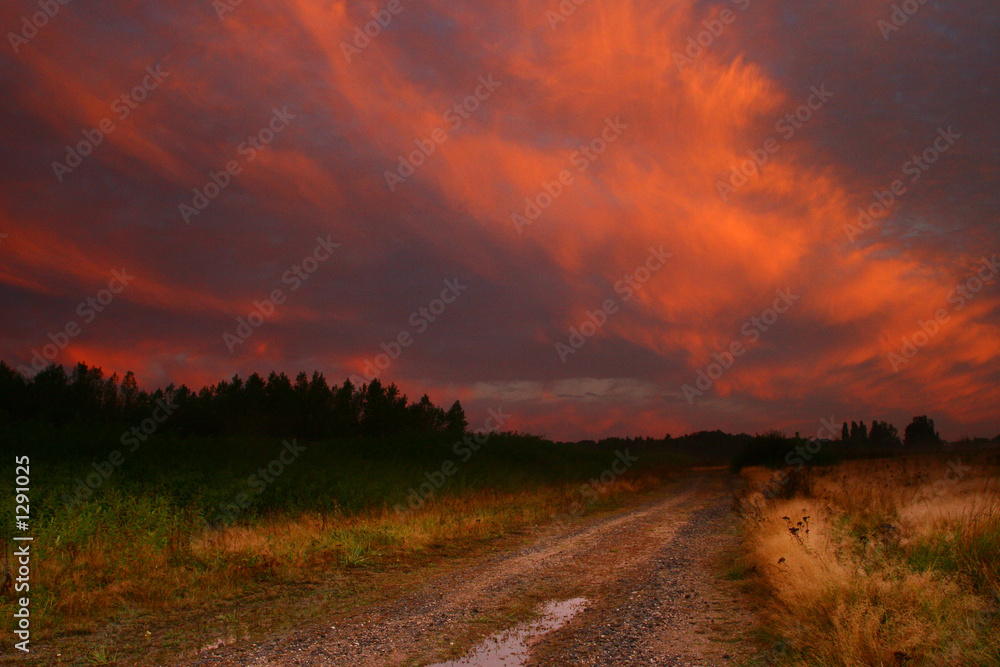 Obraz premium sunny way