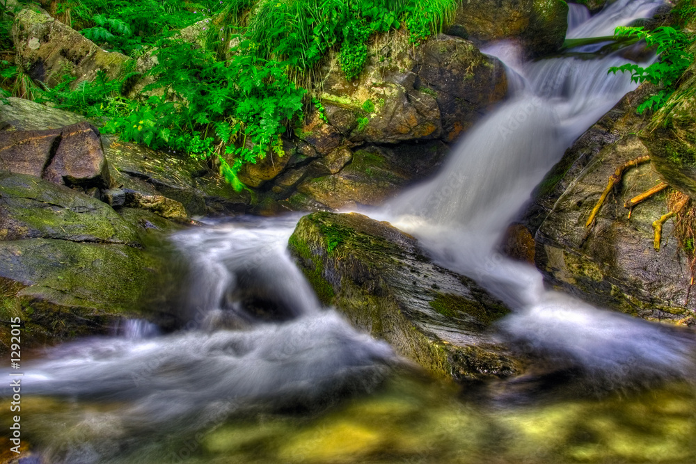 creamy waterfall in the forest