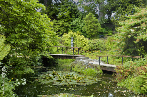 Photography japanese garden in dublin ireland