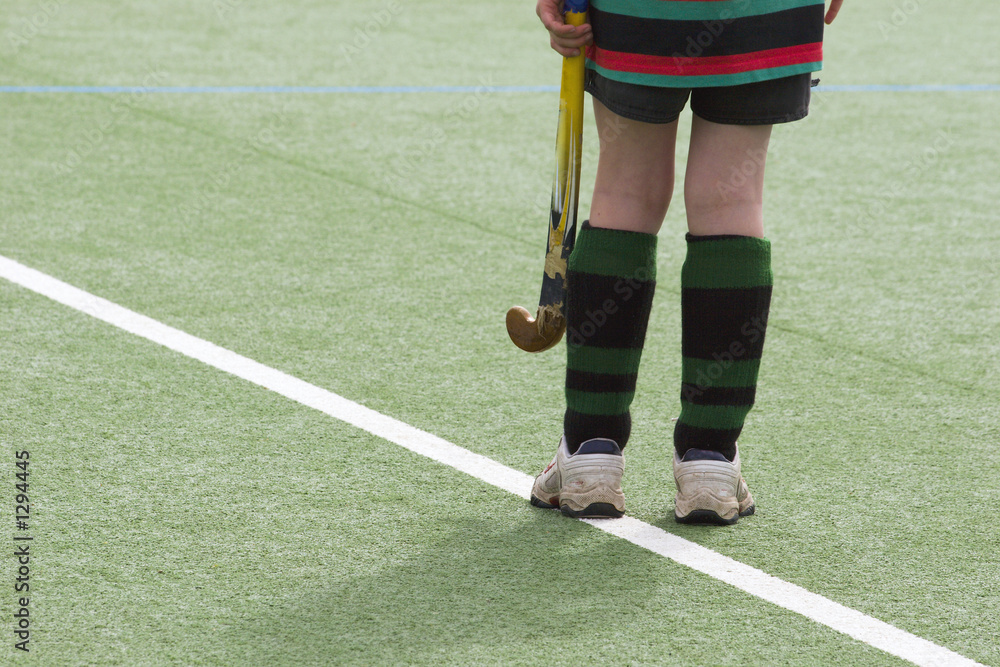 Obraz premium hockey 02
