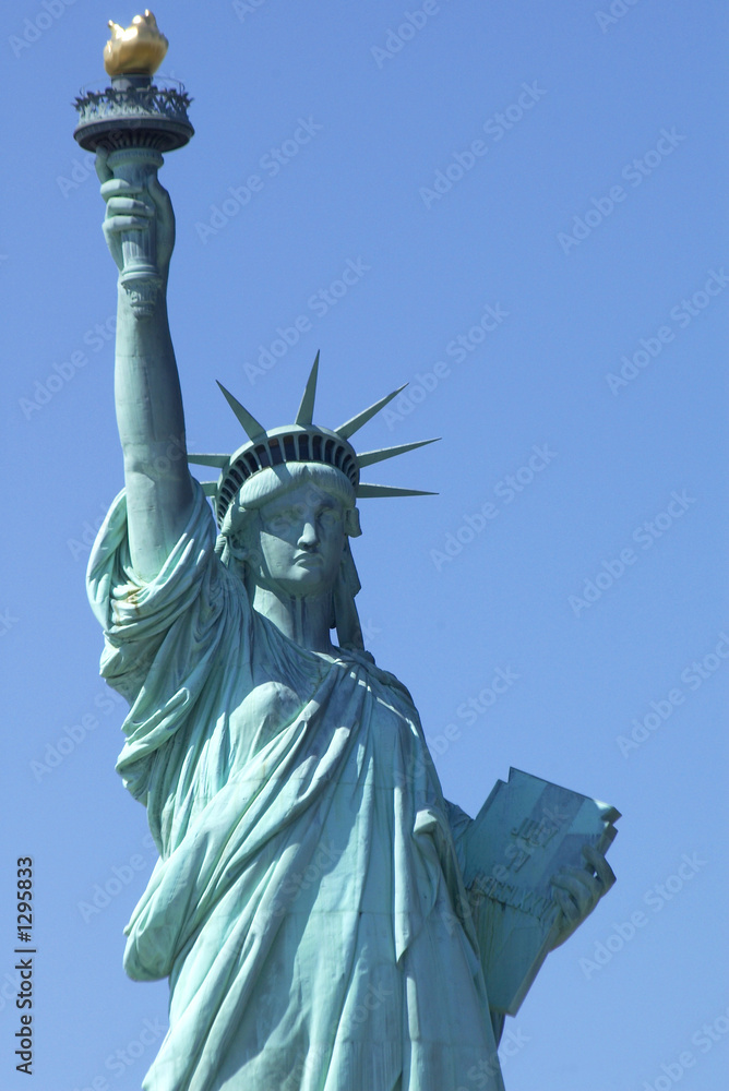 Fototapeta premium statue of lliberty