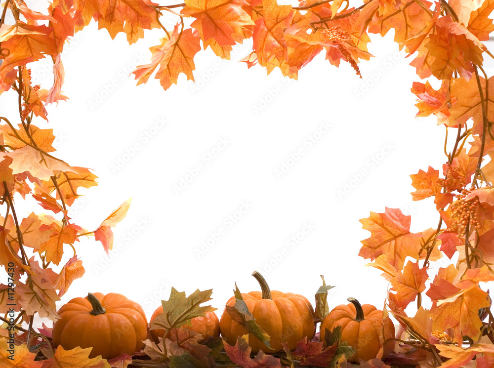 Fototapeta premium pumpkins with fall leaves