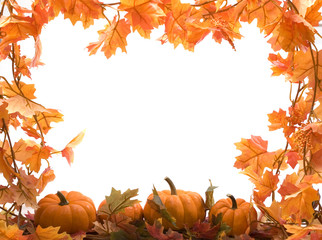 pumpkins with fall leaves