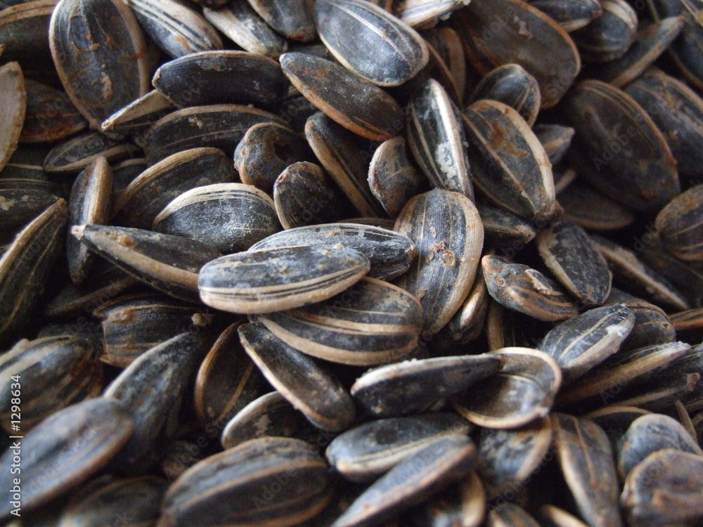 sunflower seeds sunflower seeds