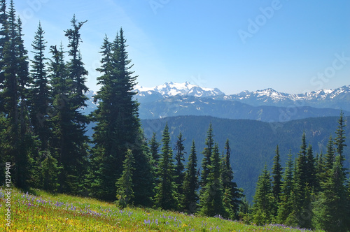 mountain landscape photo