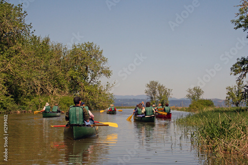 Wallpaper Mural canoers on the water Torontodigital.ca