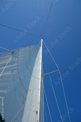 sailing away © Mark Rasmussen