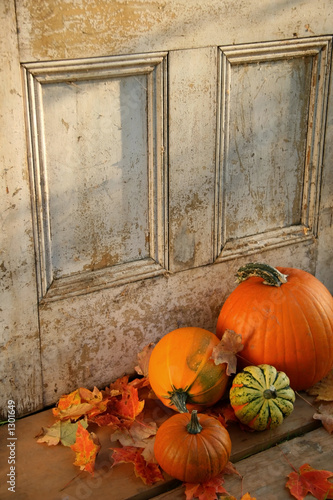 halloween pumpkins and leaves