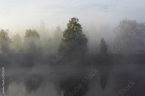 morning mist