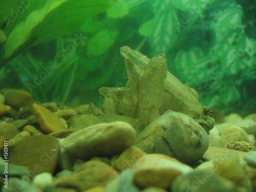 inside aquarium