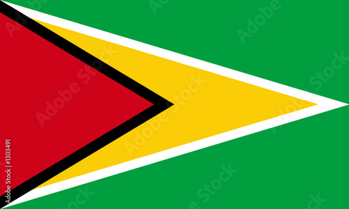 flag of guyana photo