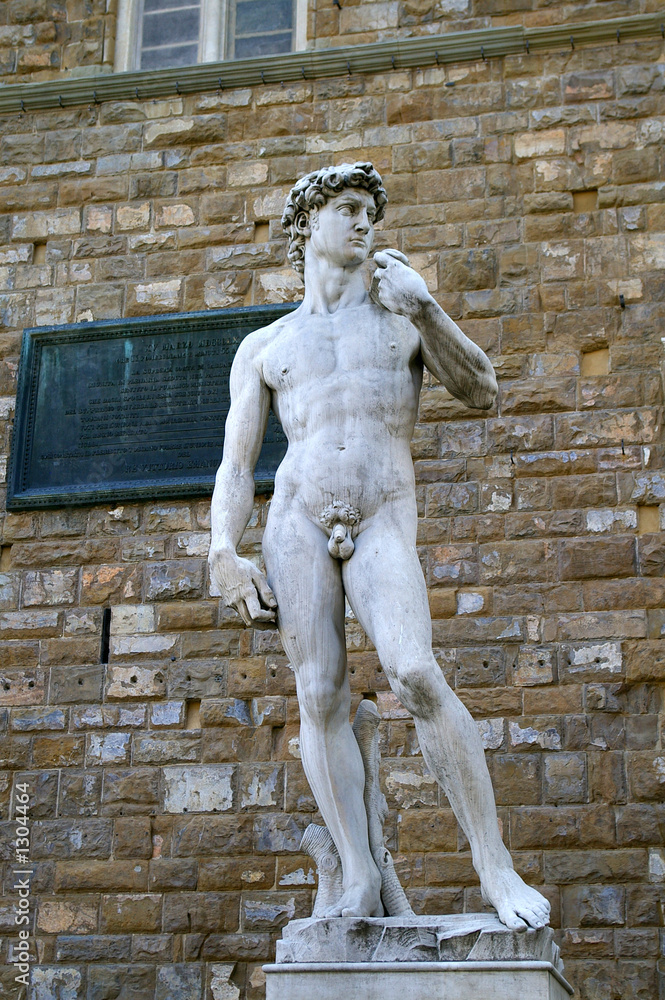 Naklejka premium david