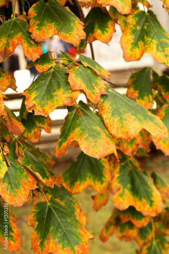 changing colours