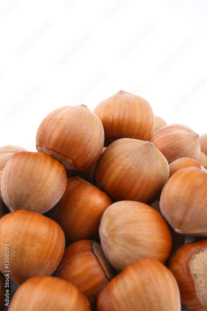 hazelnuts hazelnuts