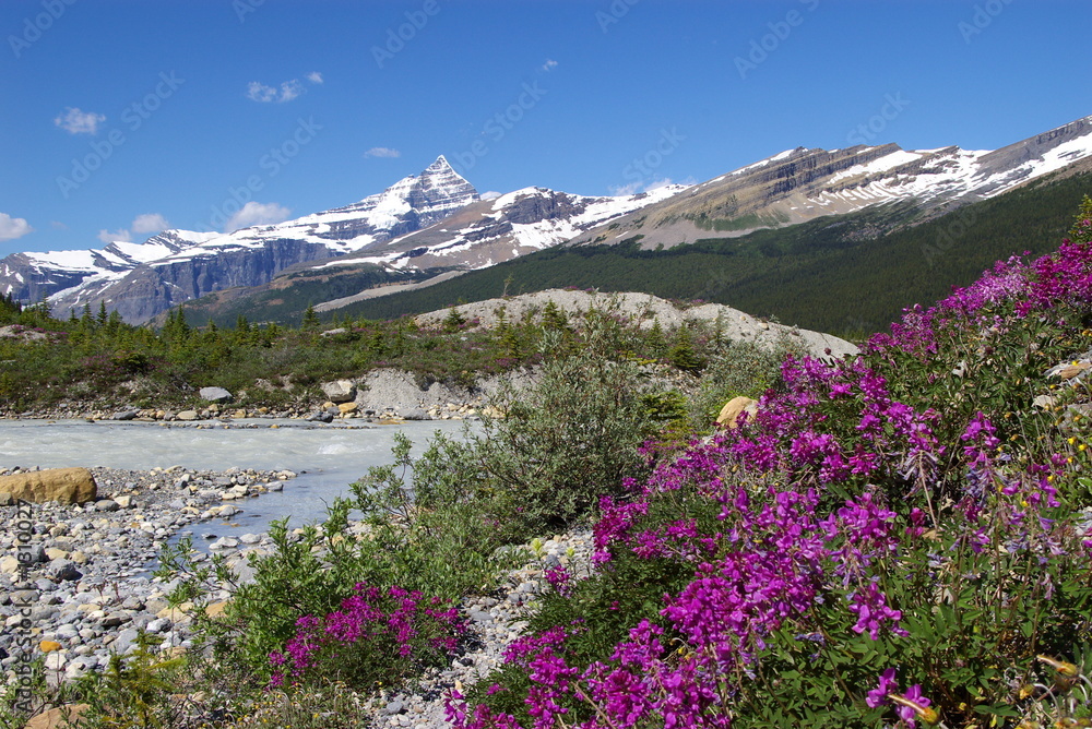 mt. robson provincial park 1