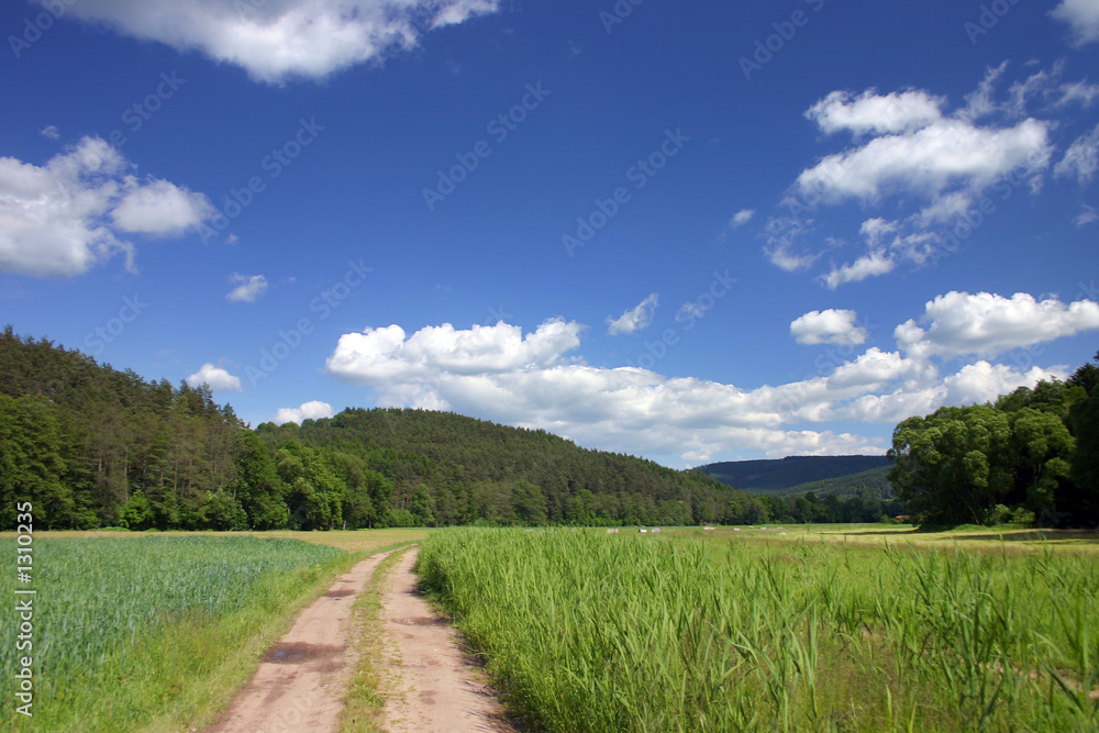 road through the summer countryside road through the summer countryside