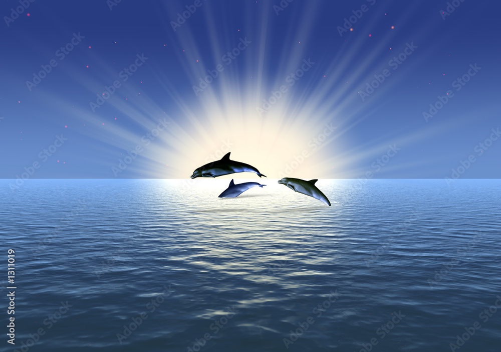 Fototapeta premium three dolphin
