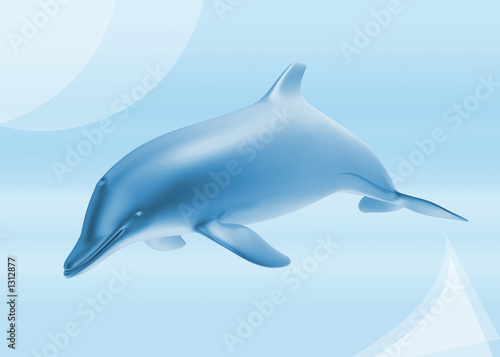 dolphin background