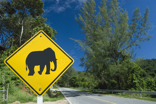 elephant sign © Seawaters