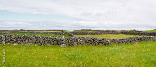 irish countryside