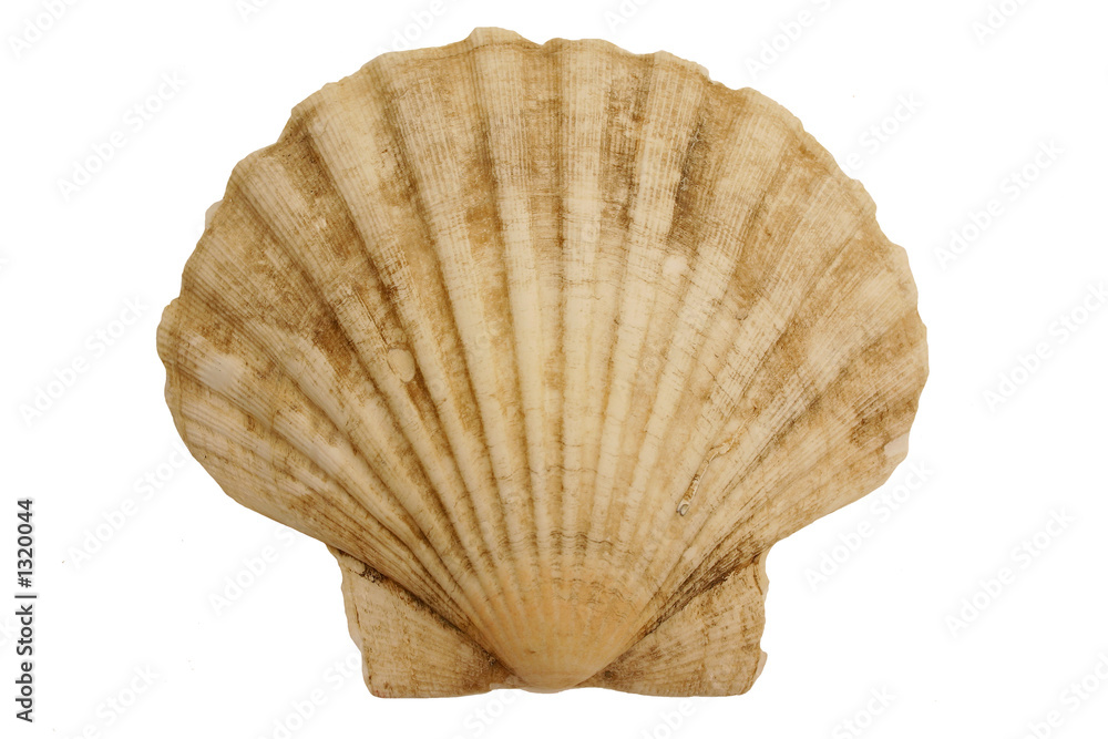 Photos shell