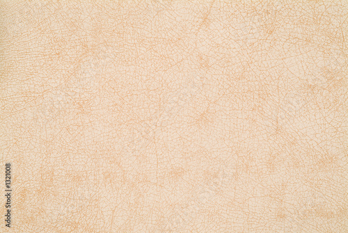 Schilderij op canvas leather texture background