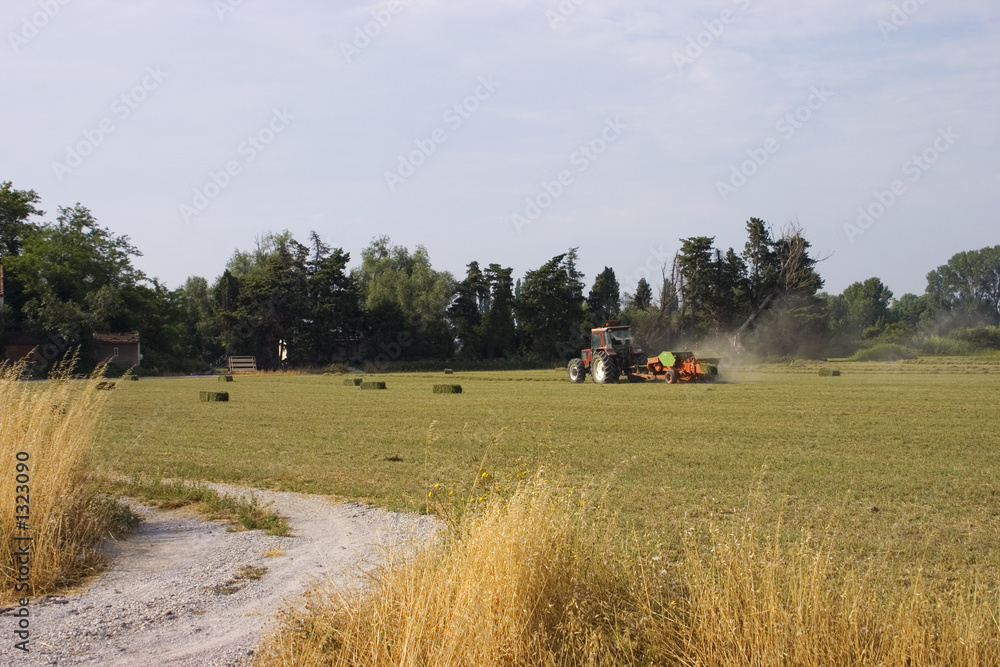 baling hay