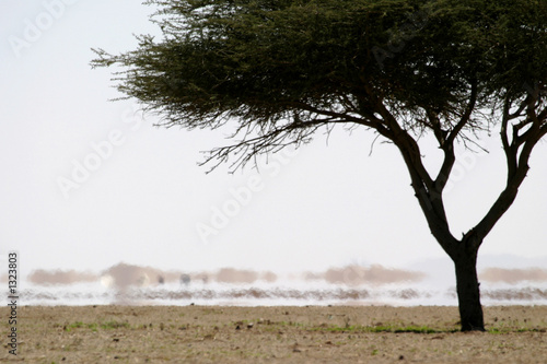 Fotografía mirage