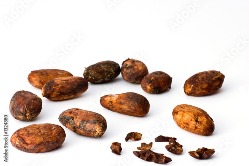 cocoa