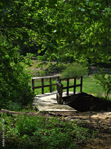 wooded paths and bridges 1