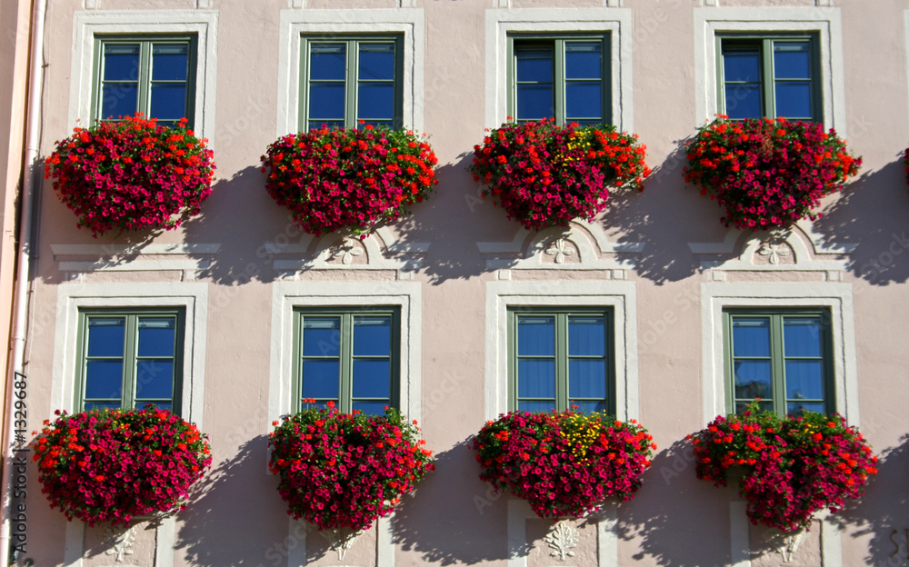 close flower facade close flower facade