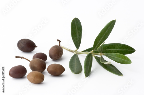 olive à huile