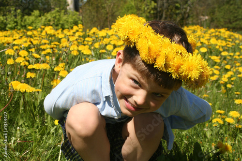 child and dandelions