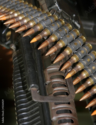 guns and ammo