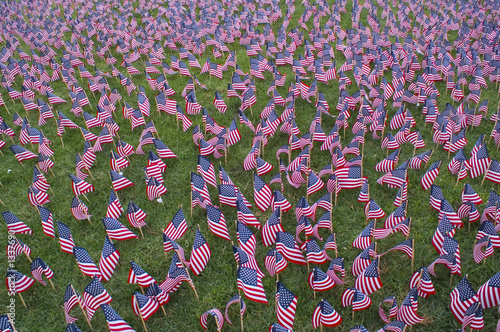 flags-memorial-3 photo