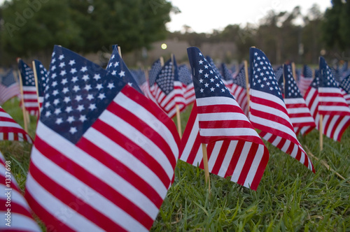 flags-memorial 2