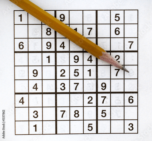 sudoku puzzler