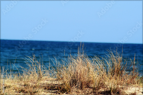 la plage sauvage