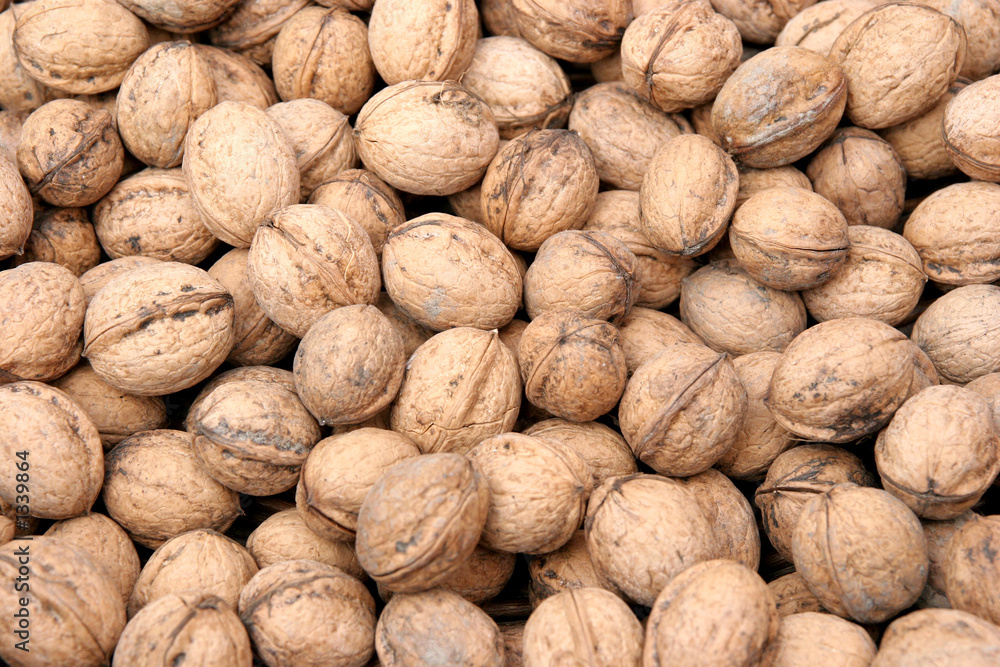 walnuts walnuts