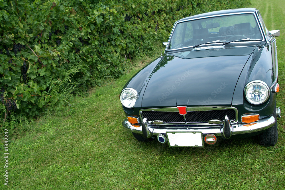 british racing green british racing green