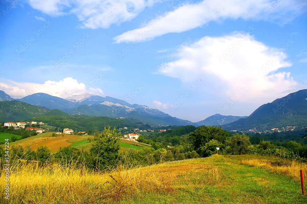 Fototapeta premium panorama