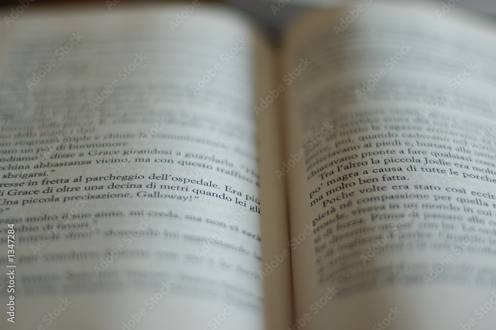 Fototapeta premium book