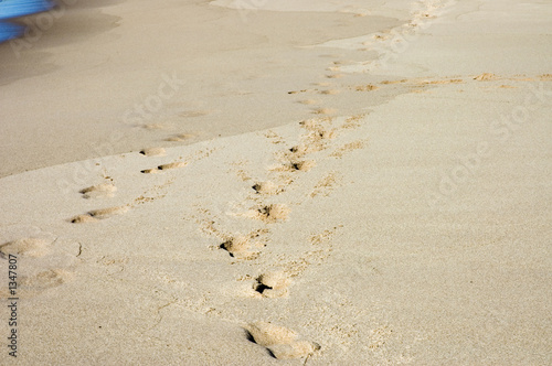 footprints on the beach of lake Superior, Michigan