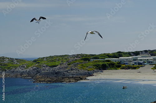 irish landscape