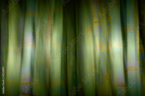 bamboo blur