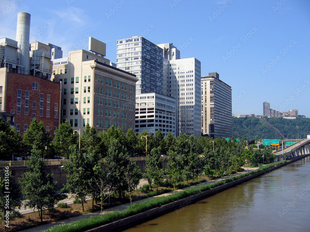 Obraz premium north downtown pittsburgh #3