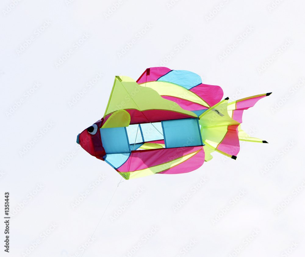 fish kite closeup