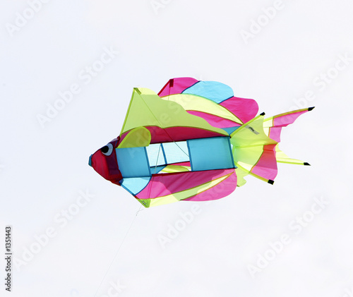 Obraz na płótnie fish kite closeup w salonie