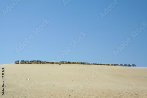 dune de paloma