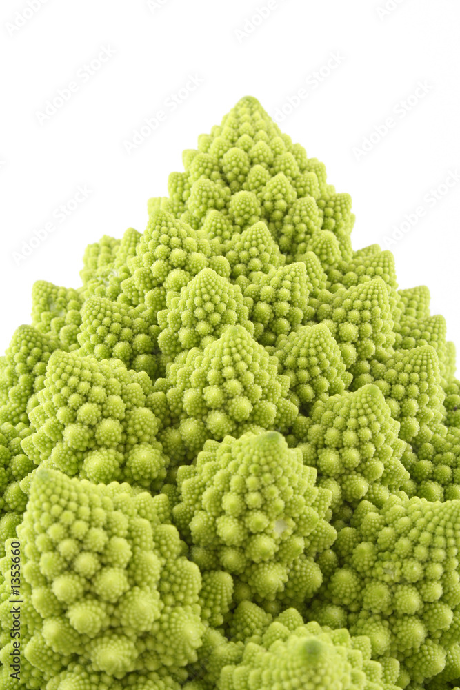 green cauliflower green cauliflower
